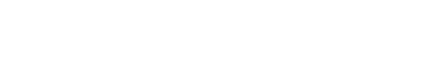 VERTIX